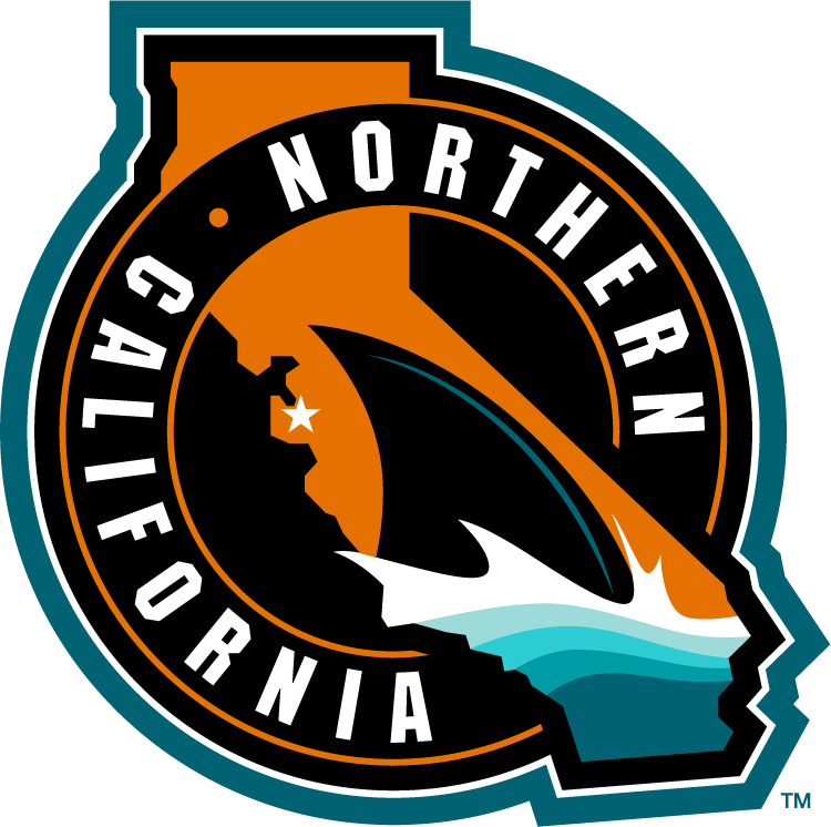 San Jose Sharks 2015 Special Event Logo iron on transfers for T-shirts version 2